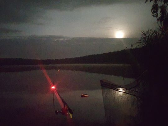 Brettmühlenteich (Zschorna)-2