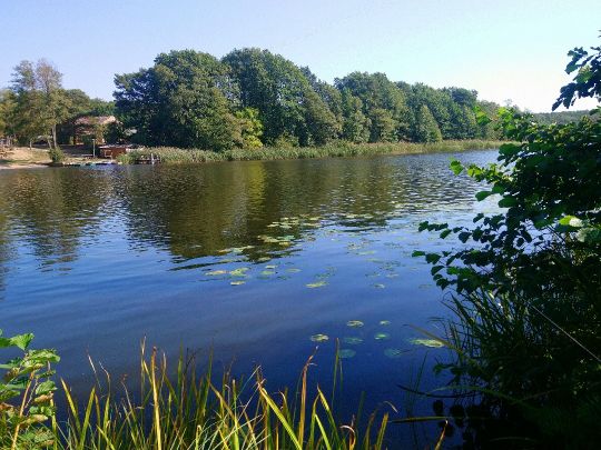 Hölzerner See (Groß Köris)-3