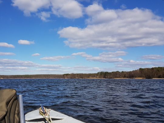 Hölzerner See (Groß Köris)-4