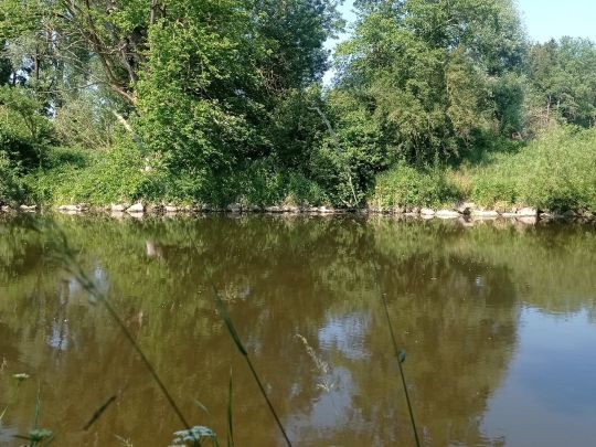 Schlingener See-2