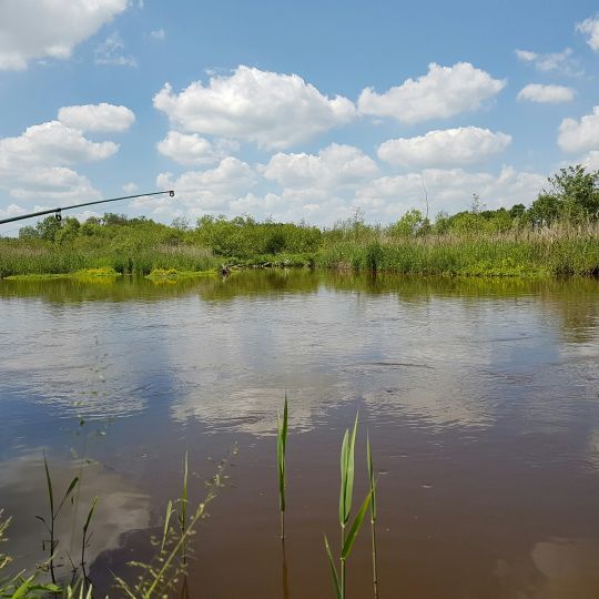 Schlingener See-1