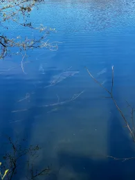 Kiesgruben (Klein Beuthen)