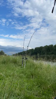 Donau (Deggendorf)-1