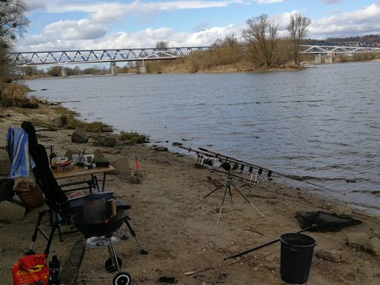 Donau (Deggendorf) angeln
