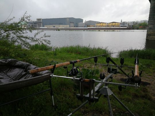 Donau (Deggendorf)-2