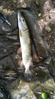 Chamb (Arnschwang)-2