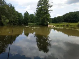 Chamb (Arnschwang)-1