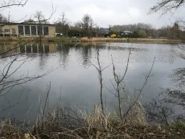 Schwarzkuhlenteich (Harbke)-4