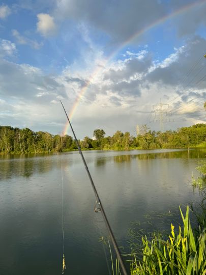 Linzenicher Baggersee 1-2