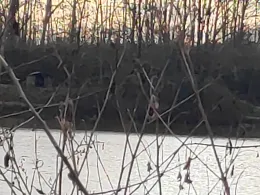 Linzenicher Baggersee 1