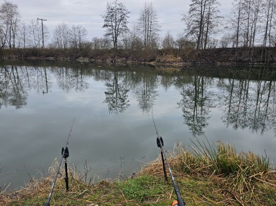 Endlauer Weiher-1