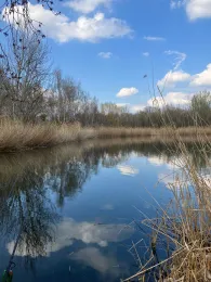 Rüdelsteich (Eisleben)-2