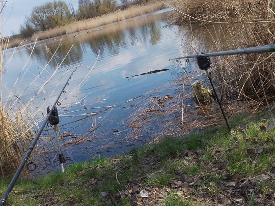 Rüdelsteich (Eisleben)-3