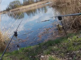 Rüdelsteich (Eisleben)-3