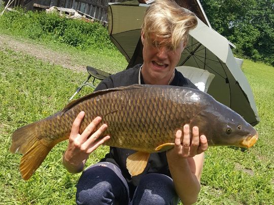 Bodensee (Kressbronn)-1