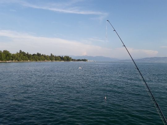 Bodensee (Kressbronn)-2