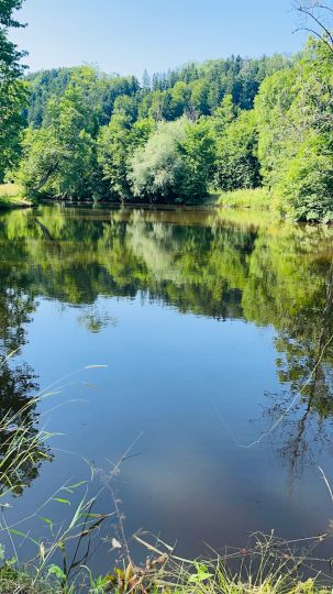 Vitzthumer Weiher-3