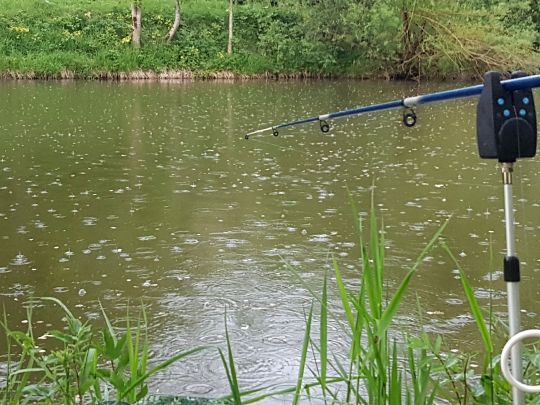 Vitzthumer Weiher