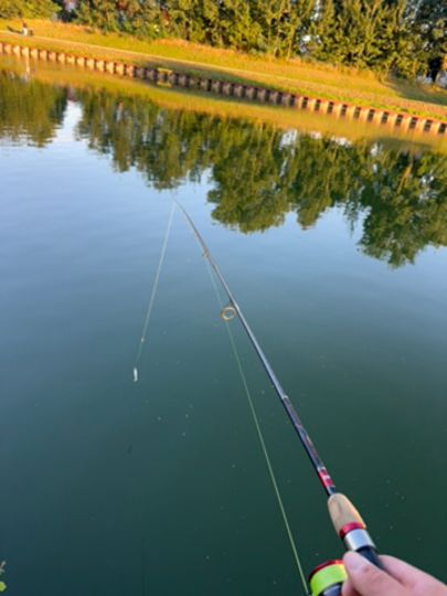Mittellandkanal (Vorsfelde-Wendschott)-2