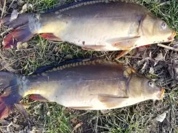 Rückhaltebecken Hahnefeld-2