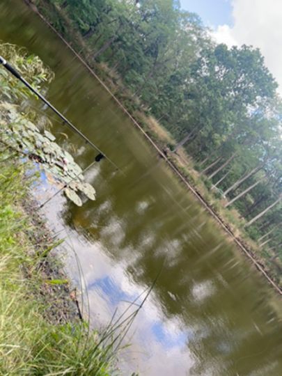 Ziegelgehege-Teich Abtlg. 321-4