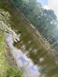 Ziegelgehege-Teich Abtlg. 321-4