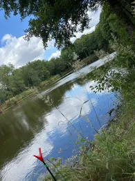 Ziegelgehege-Teich Abtlg. 321-4