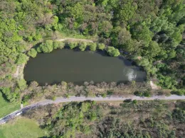 Ziegelgehege-Teich Abtlg. 321-1