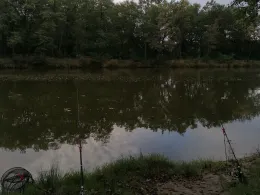 Ziegelgehege-Teich Abtlg. 321-2