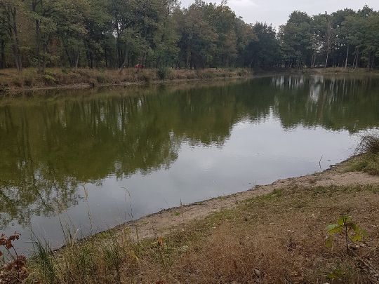 Ziegelgehege-Teich Abtlg. 321 angeln