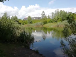 Regenrückhaltebecken Senefelder Ring-1