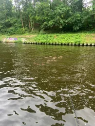 Teltowkanal (Berlin-Steglitz)-4