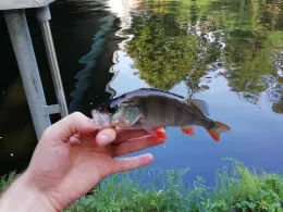 Teltowkanal (Berlin-Steglitz)-2