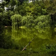 Röderhöfer Teich-2