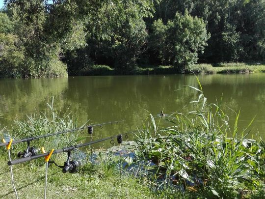 Röderhöfer Teich-1