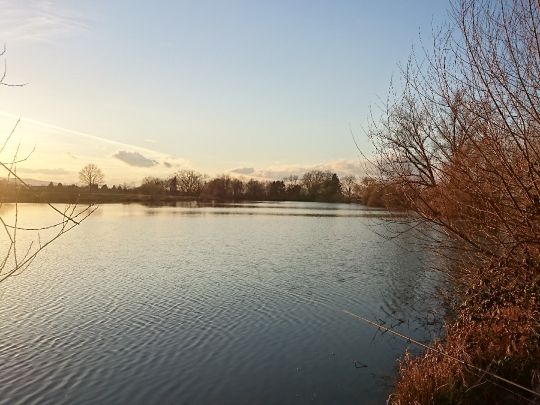 Kollmarsreuter See-3