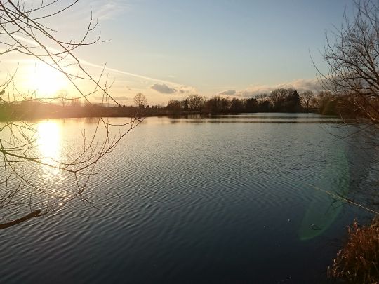 Kollmarsreuter See-4