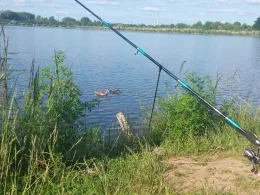 Neustädter See 2 (Magdeburg)-3