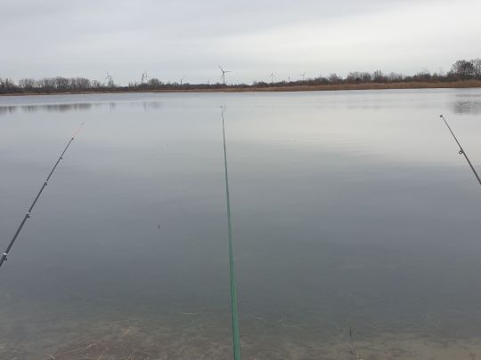 Neustädter See 2 (Magdeburg)
