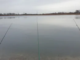 Neustädter See 2 (Magdeburg)-1