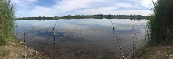 Neustädter See 2 (Magdeburg)-4