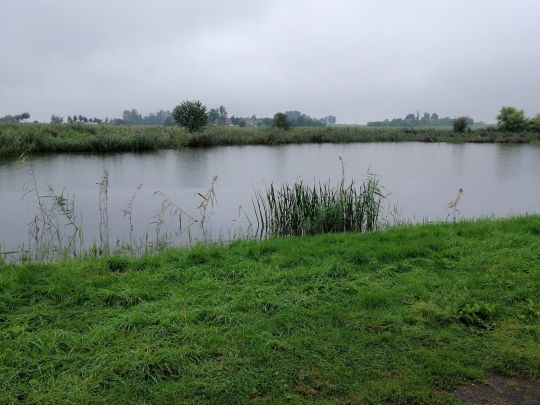 Schwemmteich (Hohnstädt)