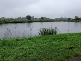 Schwemmteich (Hohnstädt)