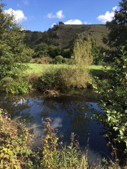 Schwarze Laber (Deuerling)-0