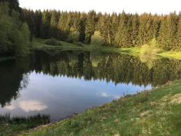 Oberer Hüttenteich (Clausthal-Zellerfeld)