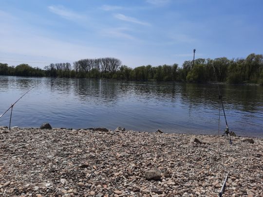 Donau (Vilshofen)-1