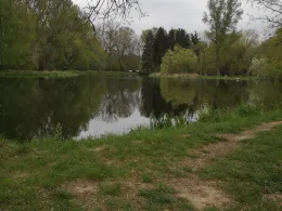 Alter Elsterarm Profen