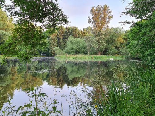 Alter Elsterarm Profen-2