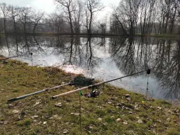 Alter Elsterarm Profen-3