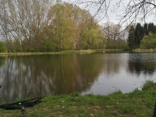 Alter Elsterarm Profen-1